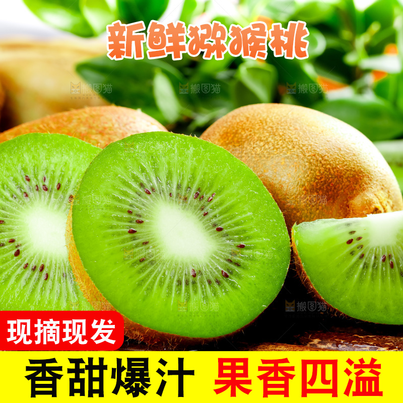 竹底上的陕西猕猴桃