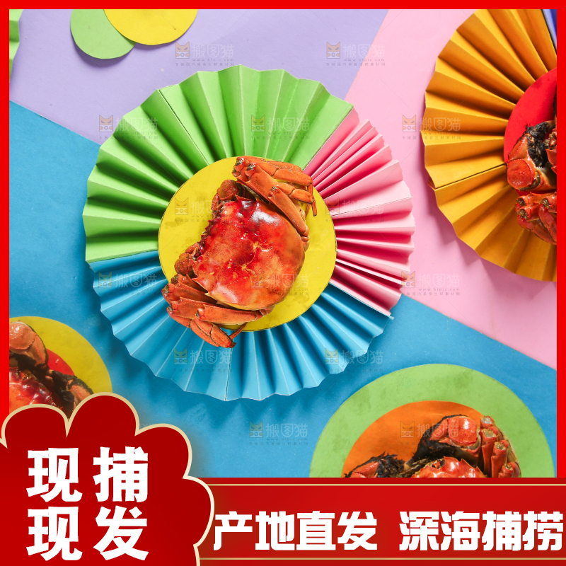 彩底上的螃蟹