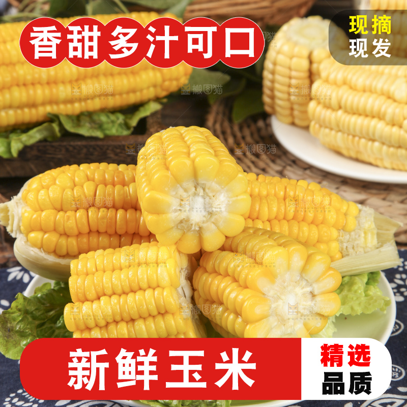 盘子里装着苞米