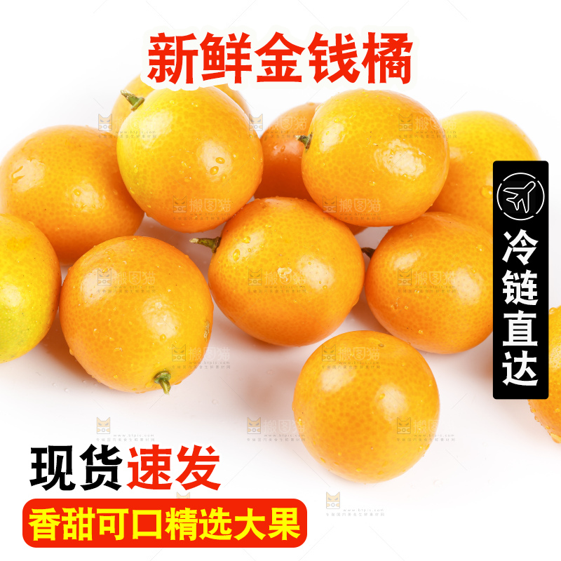 白底上的金桔