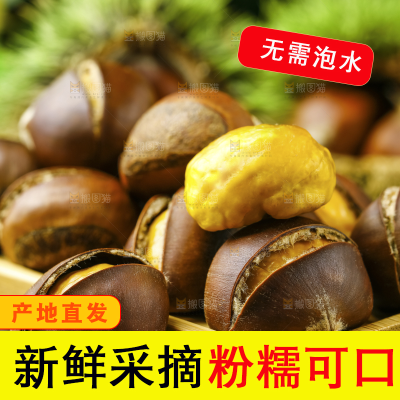 深底上的迁西板栗