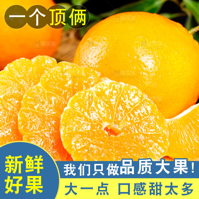 深底上的春见柑桔