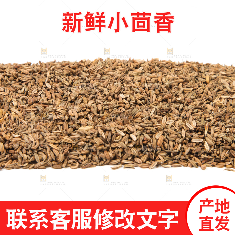 白底上一堆小茴香