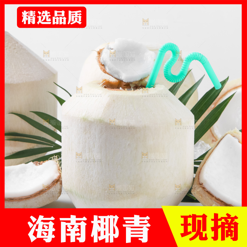 白底上青椰子