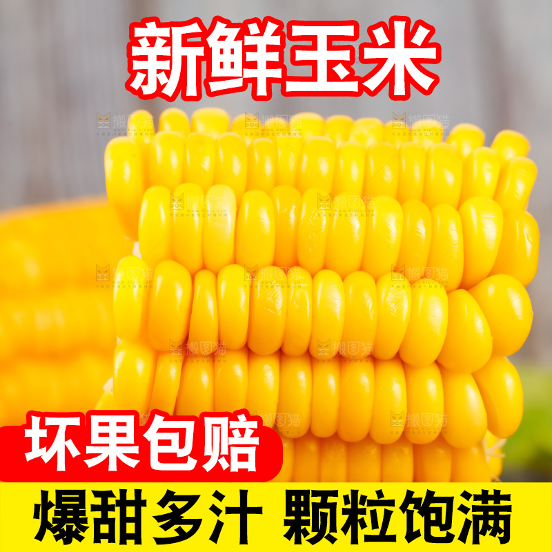深底上的东北玉米