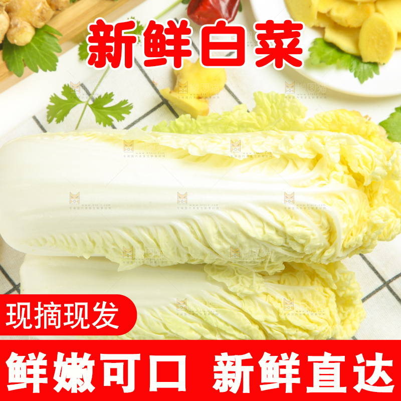 白格子底上的大白菜