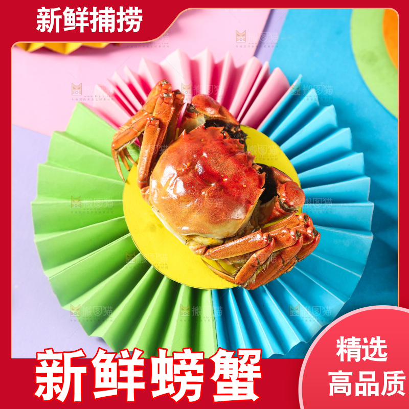 彩底上的螃蟹