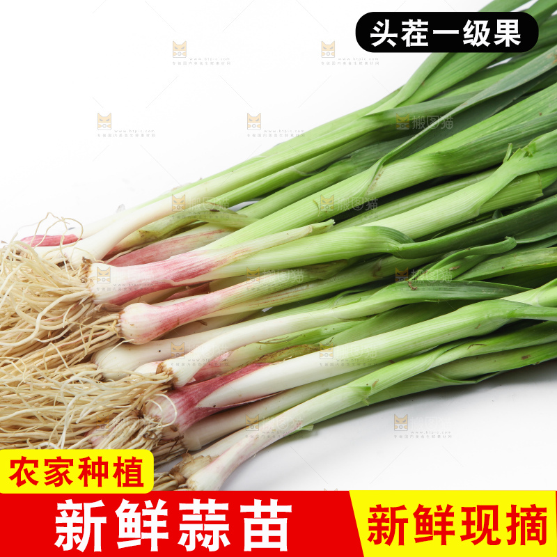 白底上放着蒜苗