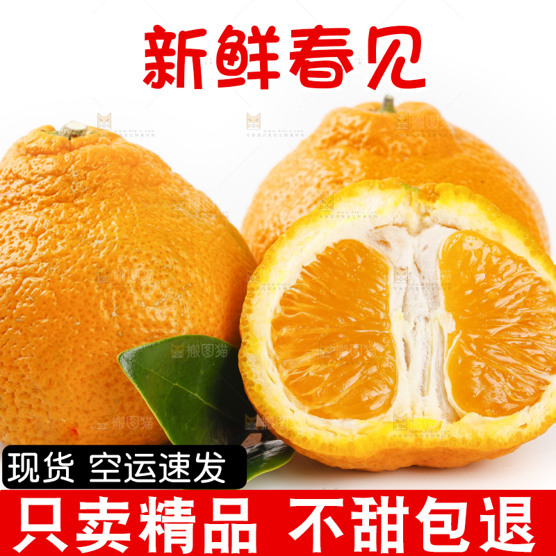 白底上摆放着耙耙柑