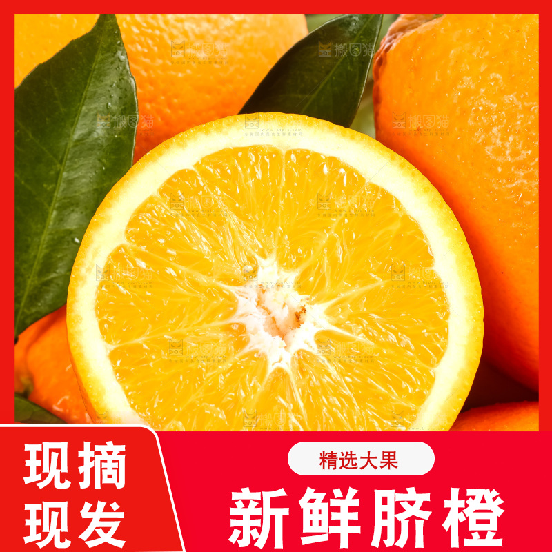 篮子里装着奉节脐橙