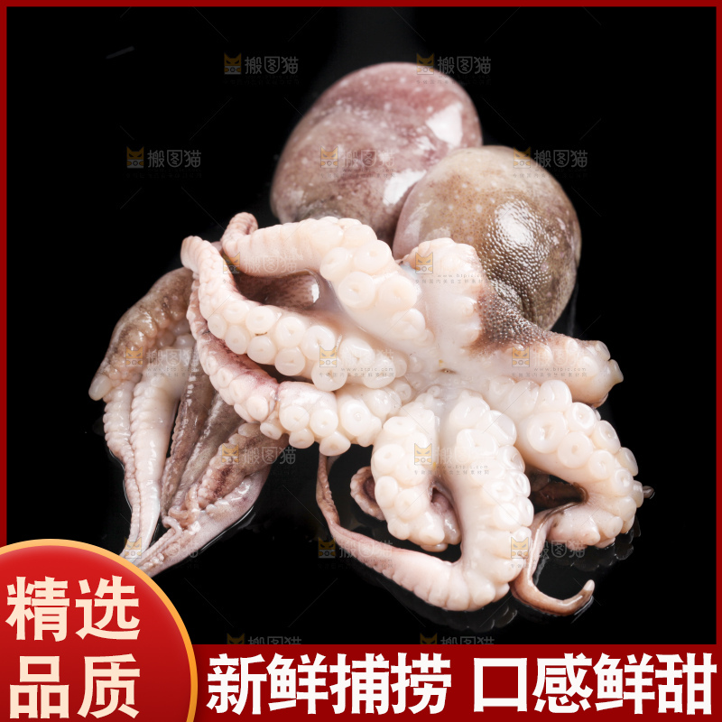 黑底上放着八爪鱼