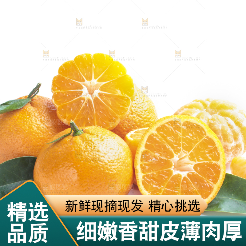 白底上摆放着四川椪柑