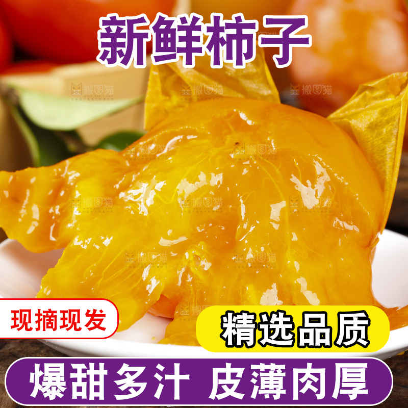 木板上摆放着易县磨盘柿子