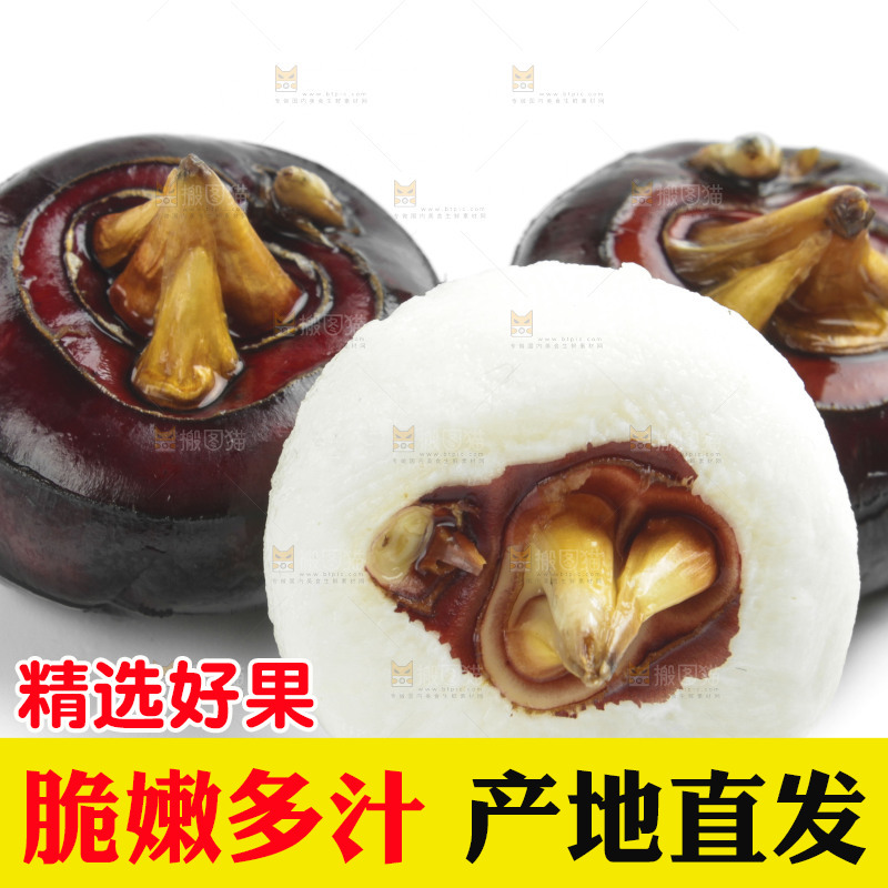 白底上摆放着广西荔浦马蹄