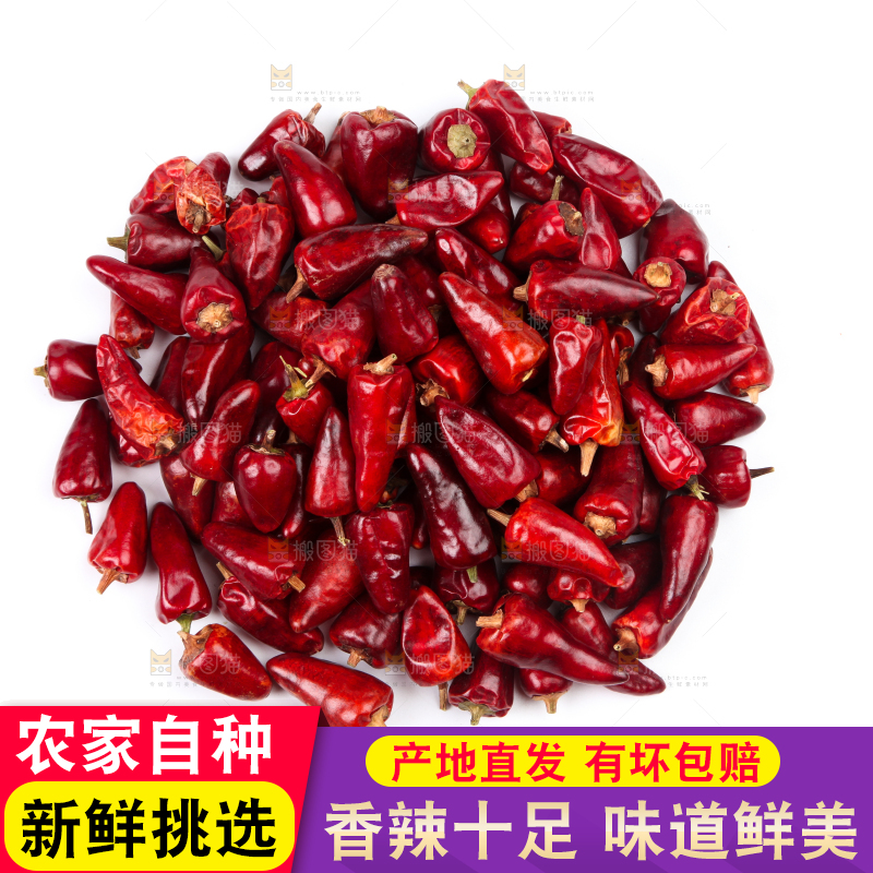 白底上的子弹头辣椒