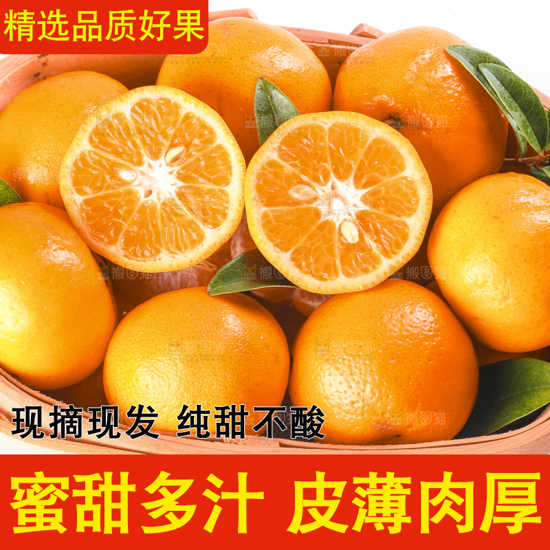 白底上放着椪柑