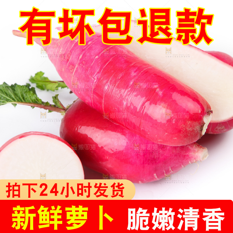 白底上的红萝卜
