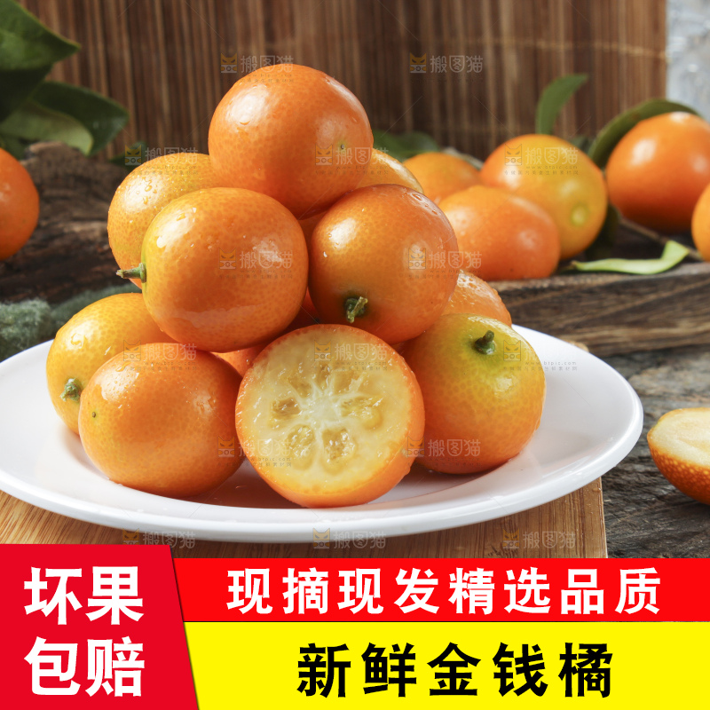 木板上摆放着广西金钱橘