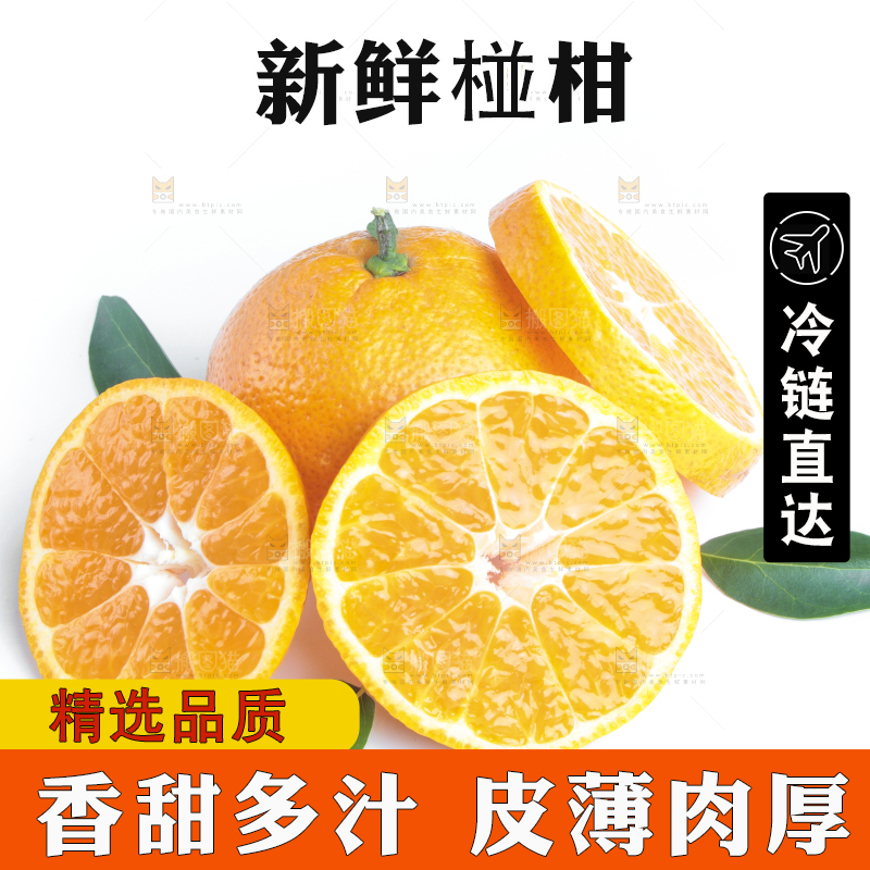 白底上的椪柑