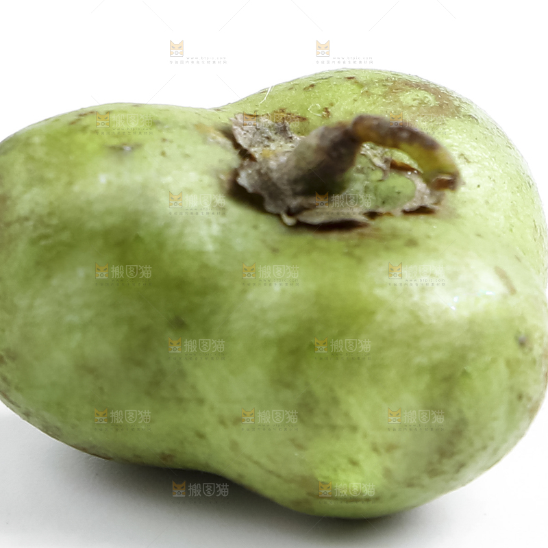 白底上的茶叶果