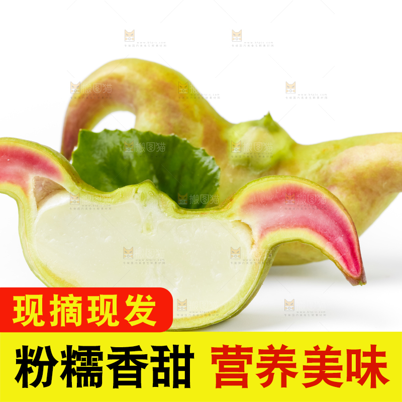 白底上放着洪湖菱角