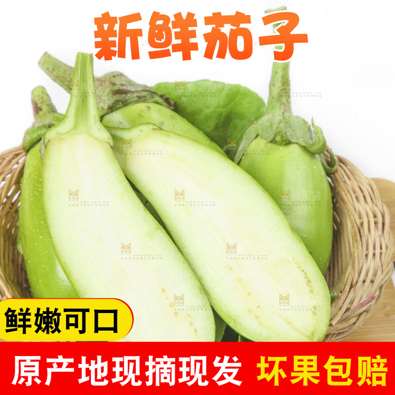 篮子里装着茄子
