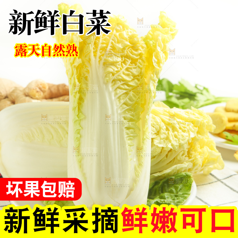 盘子里装着白菜