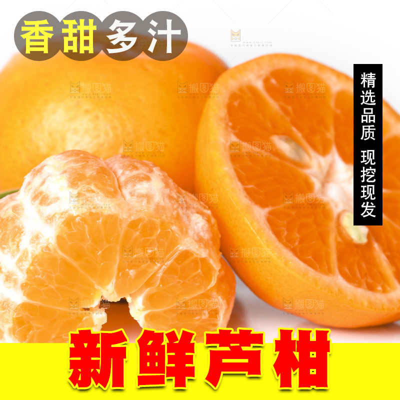 白底上的芦柑