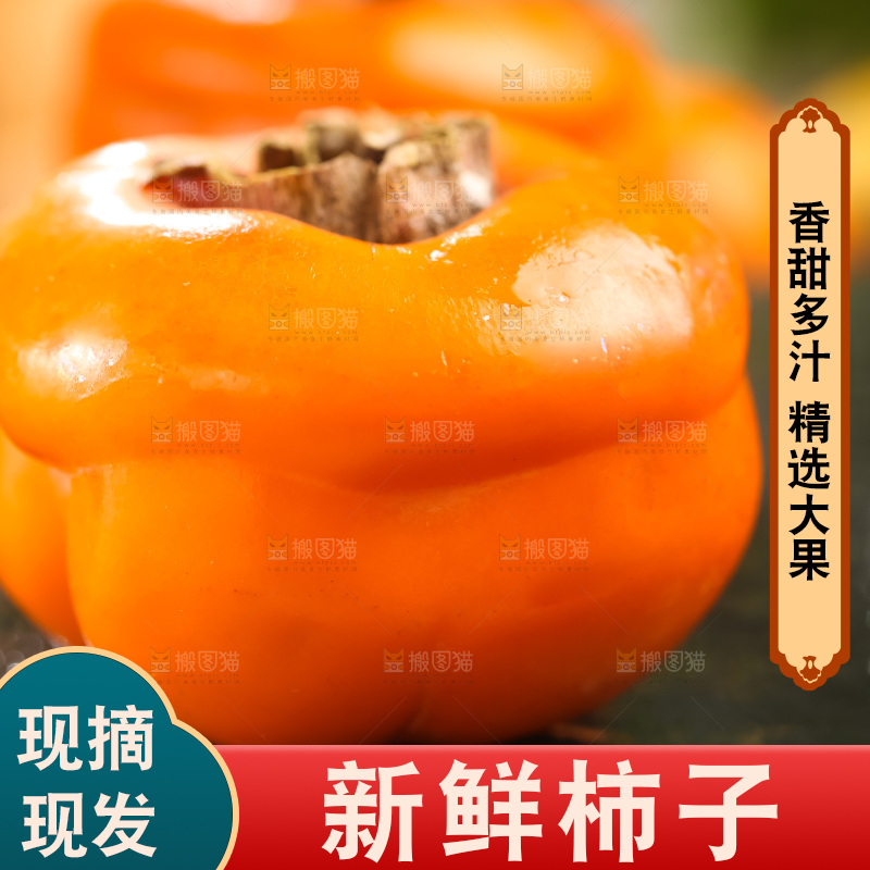 黑石板上放着易县磨盘柿