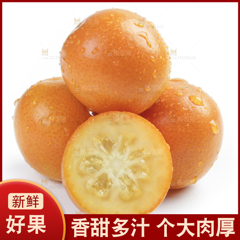 白底上的金钱橘