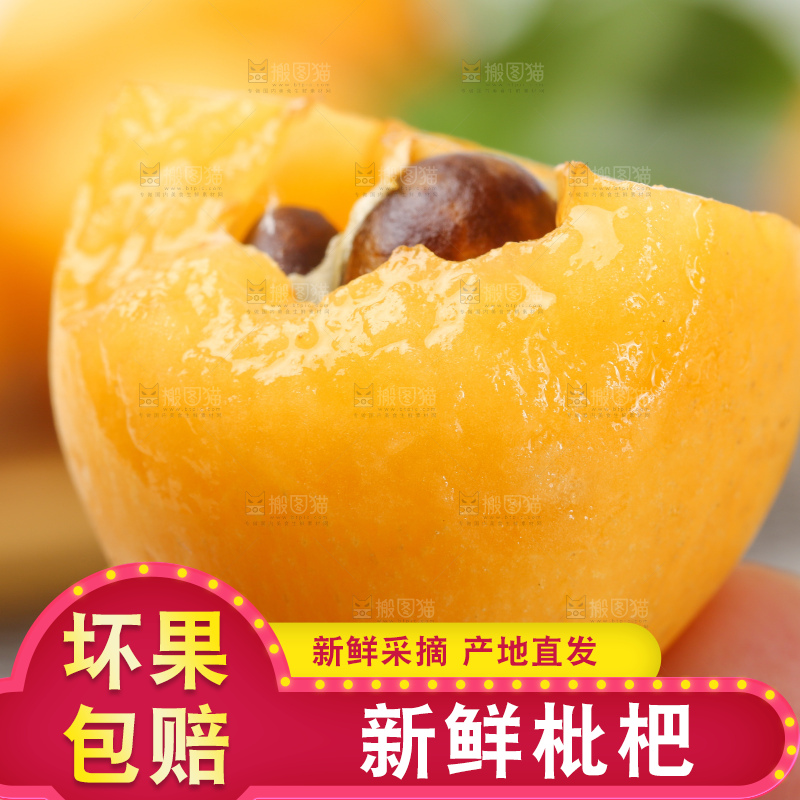 手里拿着新鲜枇杷