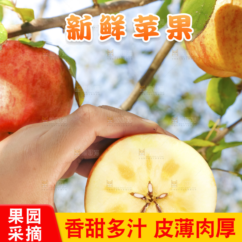 手里拿着阿克苏冰糖心苹果