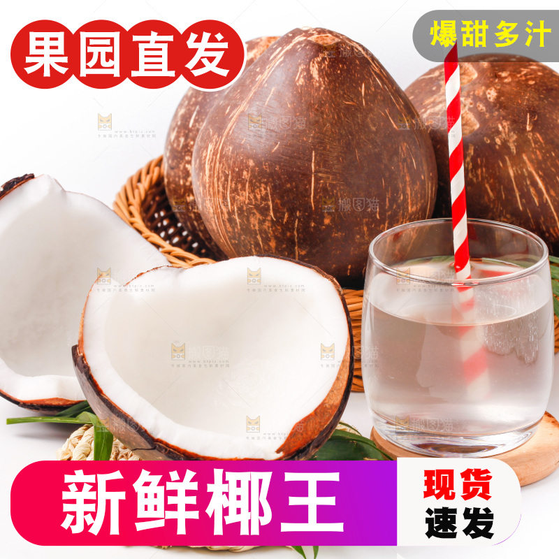 白底上放着椰王