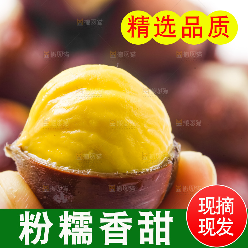 浅底上的板栗