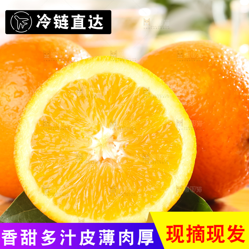 黄板子上的冰糖橙