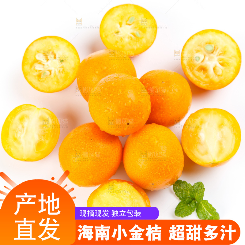 白底上的融安小金桔