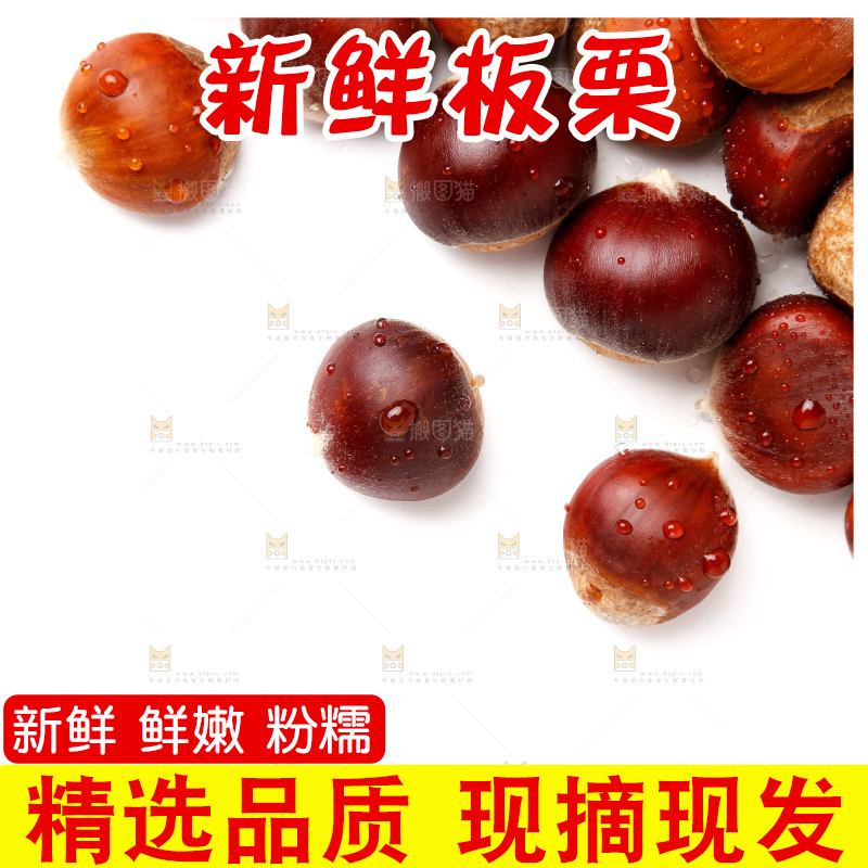 白底上的新鲜栗子