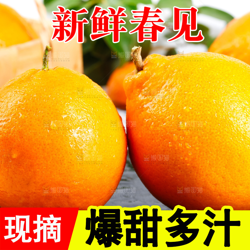 黑石板上的春见耙耙柑