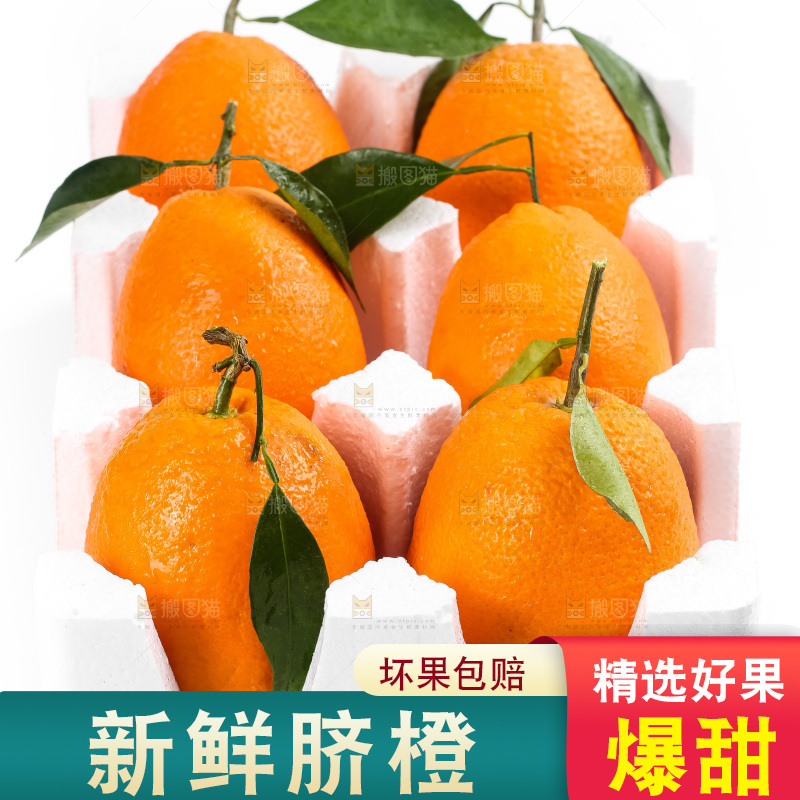 箱子里的秭归脐橙