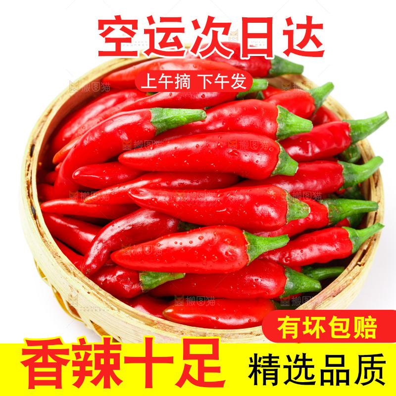 白底上摆放着广西小米椒