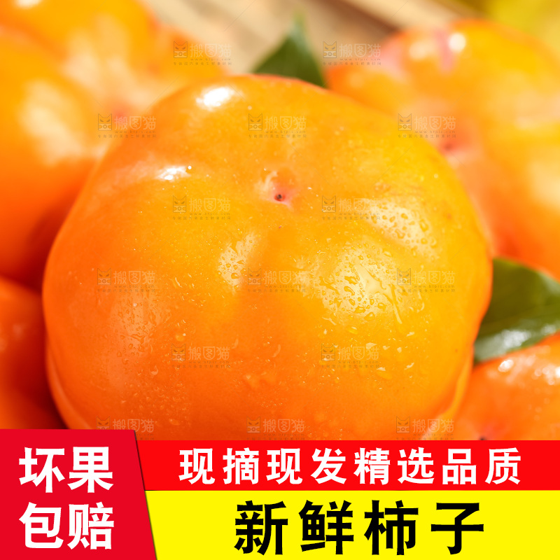 篮子里装着河北磨盘柿子