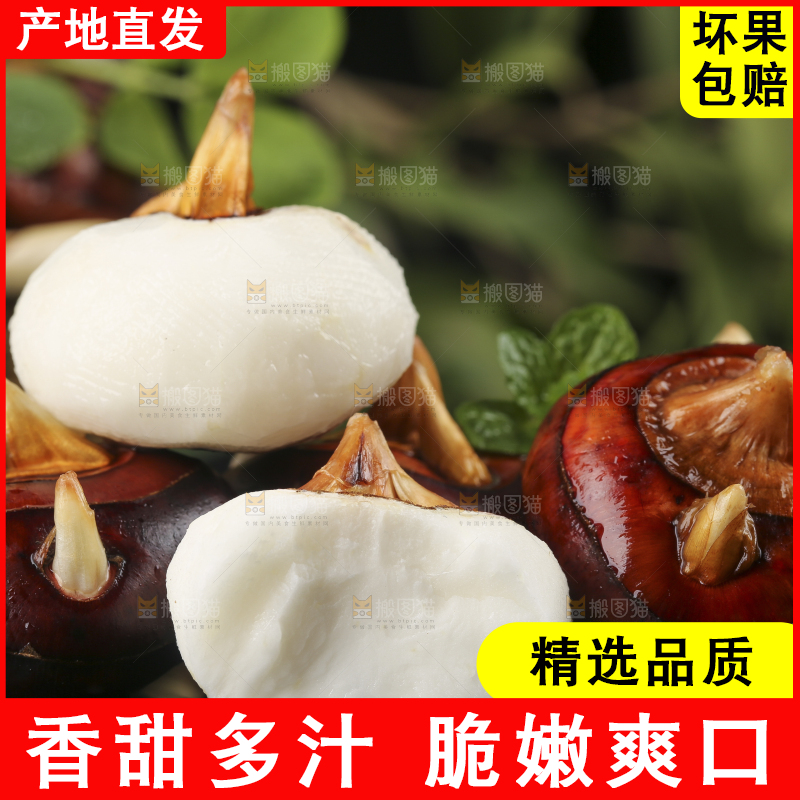 黑石板上的荔浦马蹄