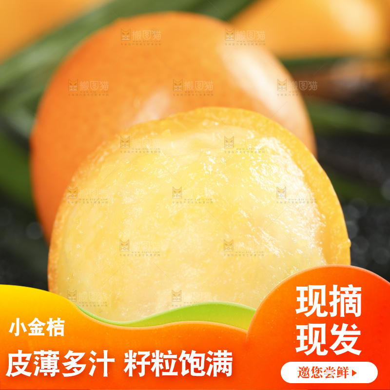 黑石板上的广西金钱橘