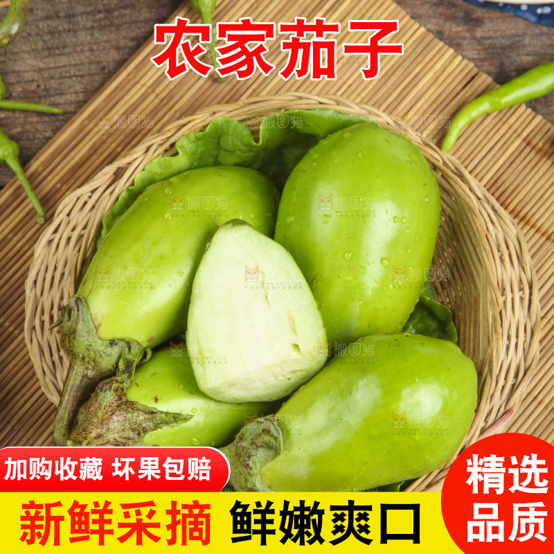 篮子里装着青皮茄子
