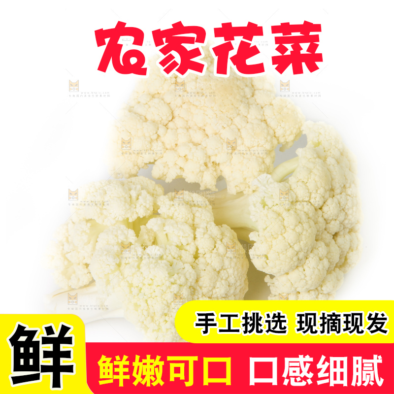 白底上的花菜