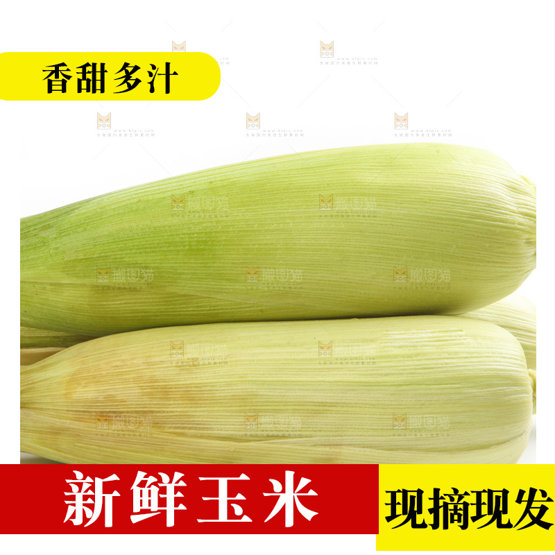 白底上放着黄玉米