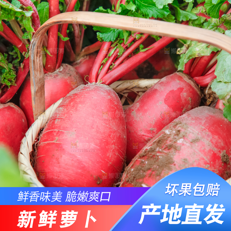 篮子里装着红萝卜