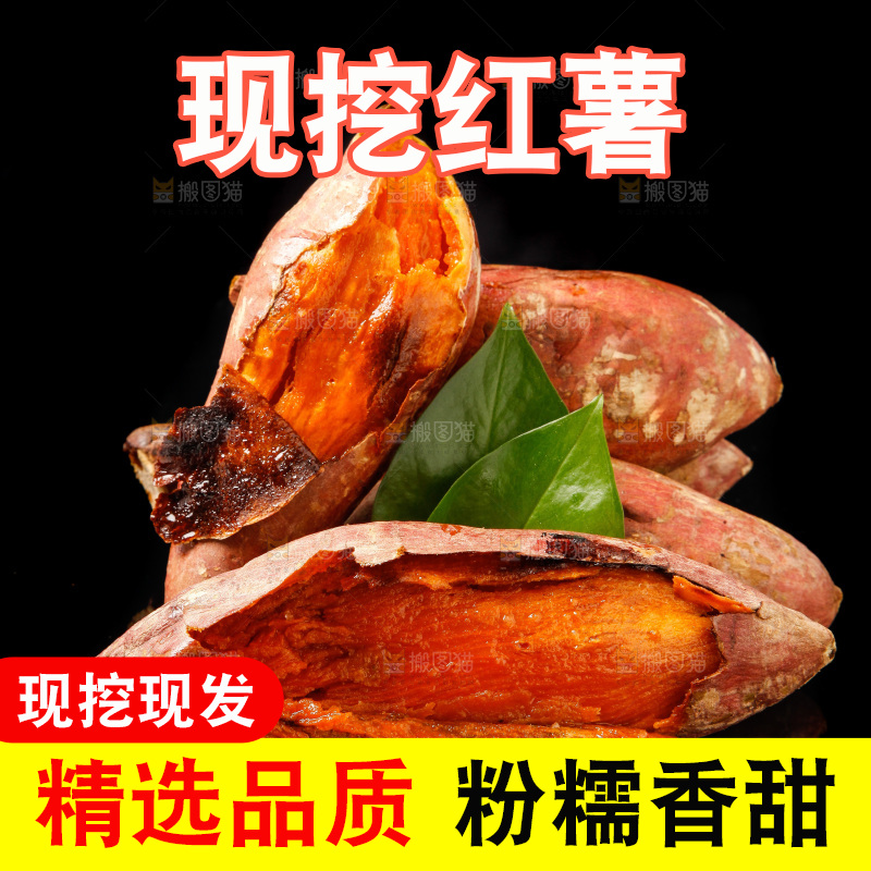 黑底上的烟薯25号