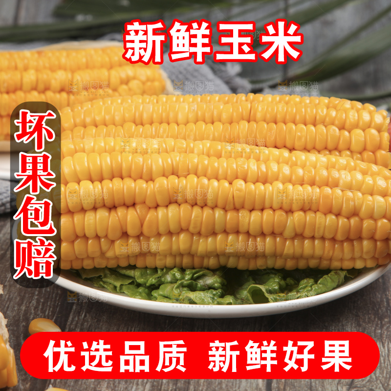 木底上放着一盘黄玉米