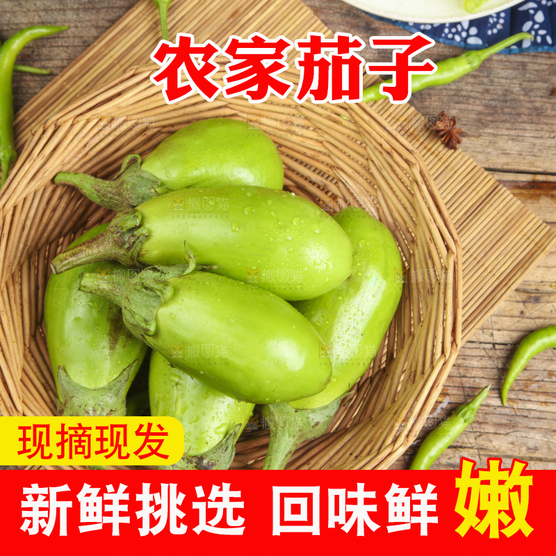 篮子里装着青皮茄子